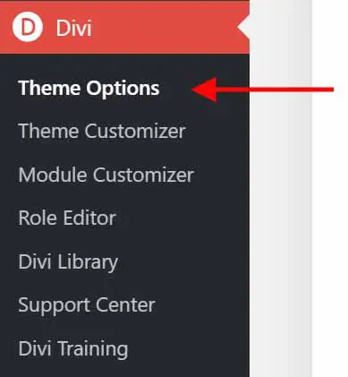 Divi Theme Options Menu