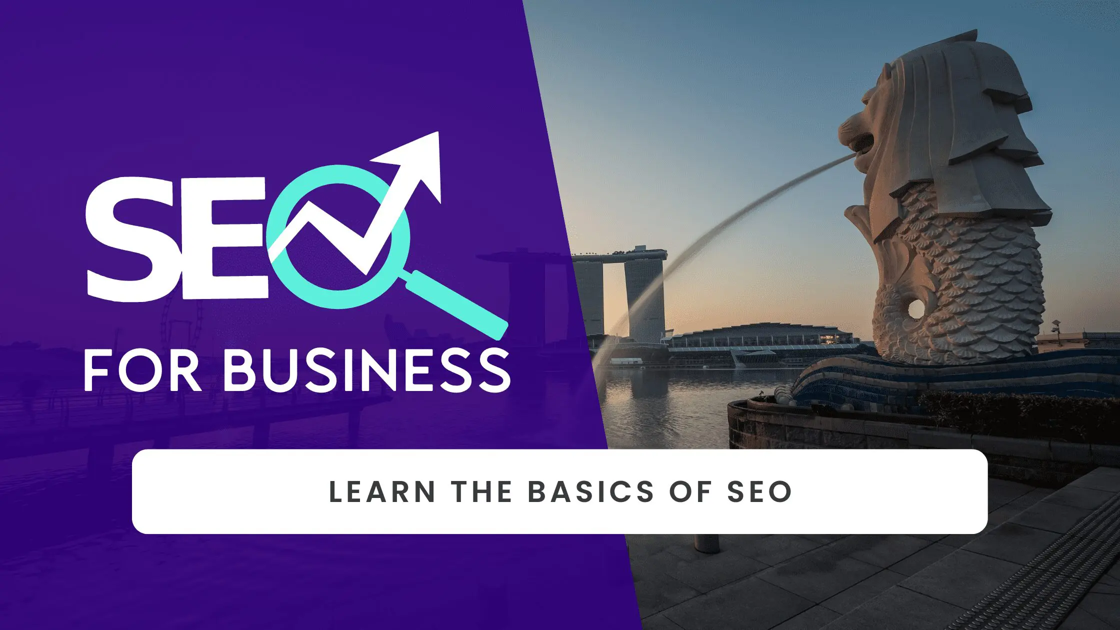 SEO For Business