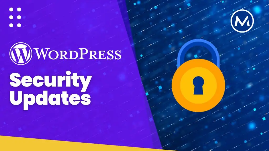 Care Plan Feature - WordPress Security Updates