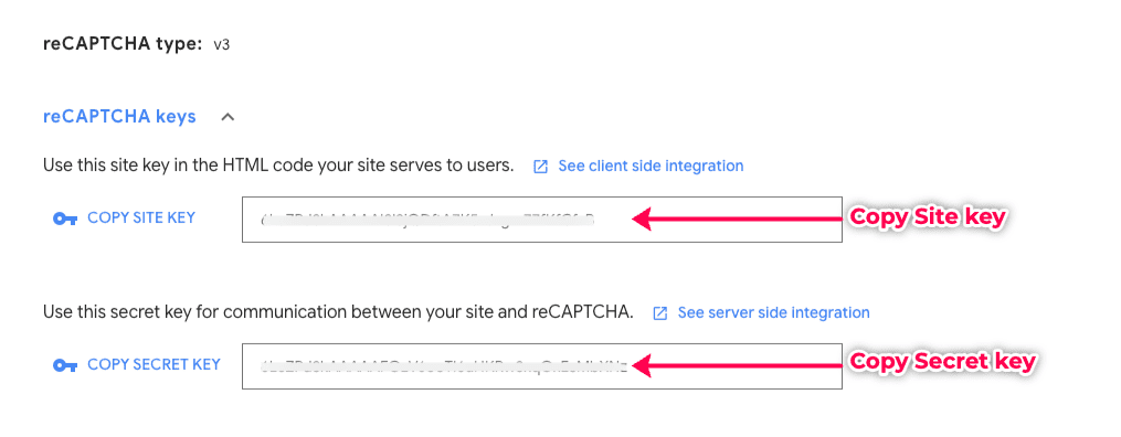 Copy the reCaptcha keys from Google.