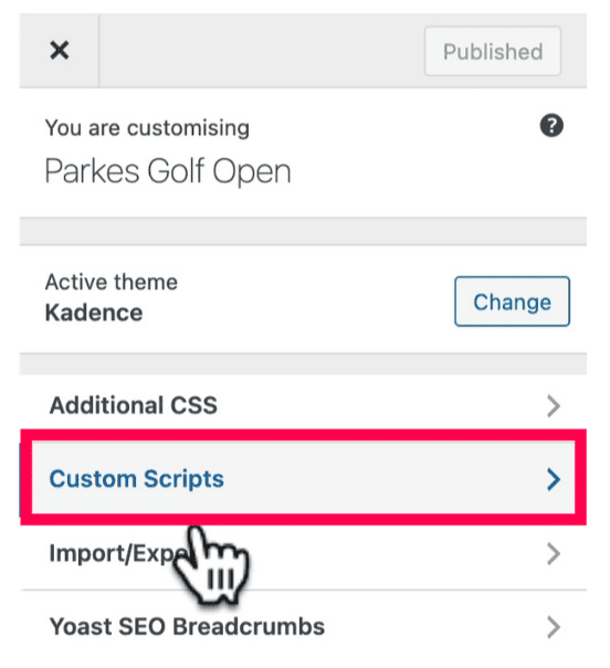 Go to Kadence Theme Custom scripts.