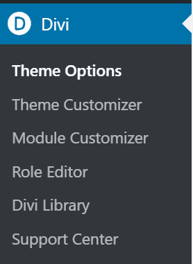 Select Theme Options in the Divi Menu